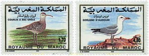 36778 MNH MARRUECOS 1994 FAUNA. AVES