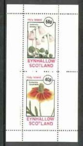 Eynhallow 1982 Flowers #14 (Soldanella &Rudbeckia) pe...