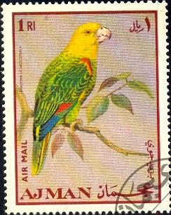 Bird, Parrot, Ajman stamp used