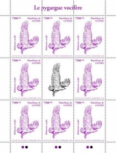 Guinea - 2020 African Fish Eagle Birds - 8 Stamp Sheet - GU200236c3