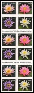 US 4964-4967 4967b Water Lilies forever booklet (20 stamps) MNH 2015