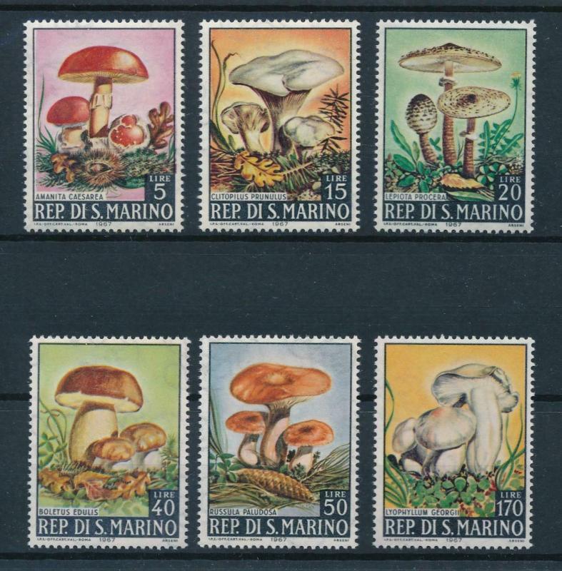 [97758] San Marino 1967 Mushrooms Pilze  MNH