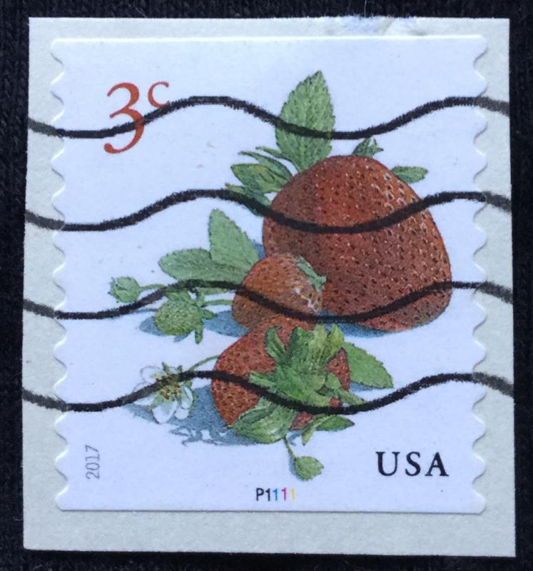 US #5201 Used PNC Coil Single #P1111 On Paper Strawberries