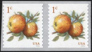 SC#5037 1¢ Apples Coil Pair (2016) SA