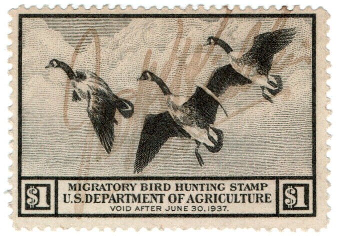 (I.B) US Revenue : Duck Hunting Stamp $1 (1936)