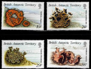 British Antarctic Territory (BAT) Scott 149-152 MNH**Lichen set