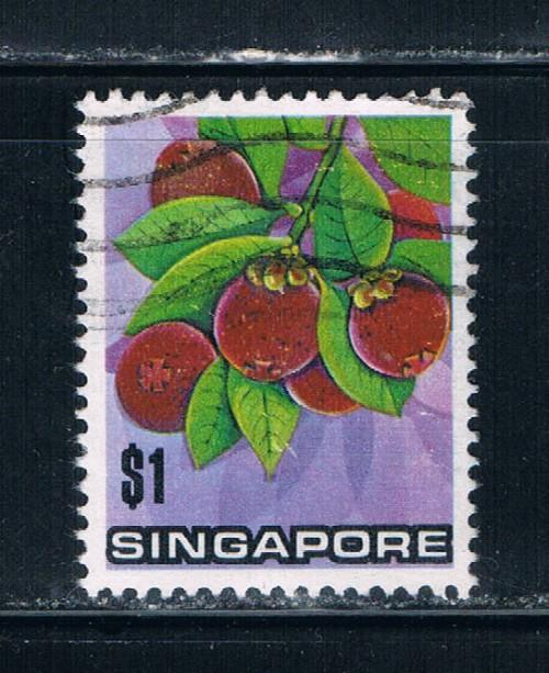 Singapore  198 Used Mangosteen (S0262)