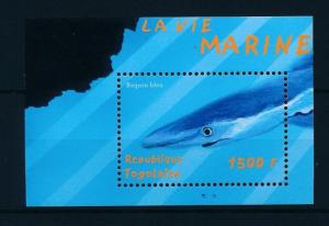 [27114] Togo 2001 Marine Life Blue Shark MNH Sheet
