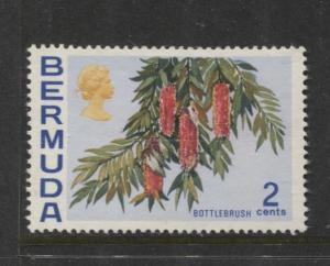 Bermuda - Scott 256 - Flowers Issue -1970 - MNG - Single 2c Stamp