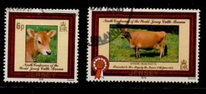 Jersey Sc 206-7 1979 Cattle stamp set used