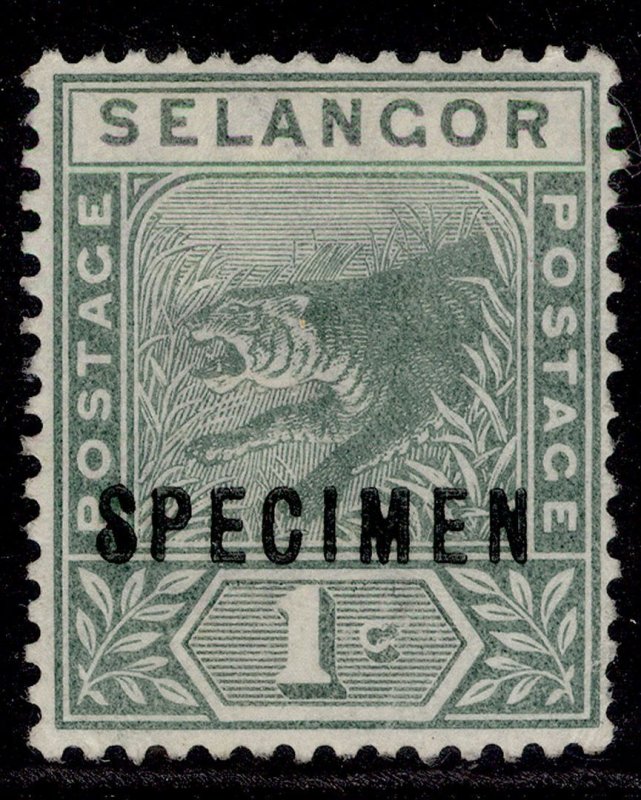 MALAYSIA - Selangor QV SG49s, 1c green, UNUSED. SPECIMEN