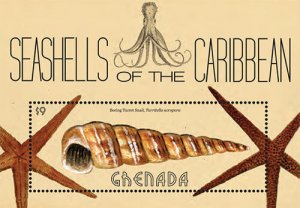 Grenada- Shells of the Caribbean Stamp - Souvenir Sheet MNH