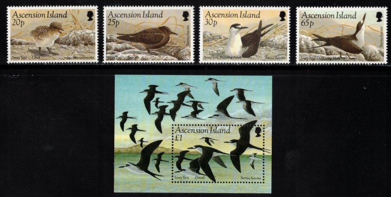 ASCENSION 1994 Sooty Tern; Scott 594-98, SG 633-37; MNH