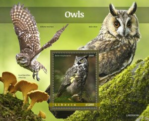 Liberia Birds on Stamps 2020 MNH Owls Great Horned Little Owl Mushrooms 1v S/S