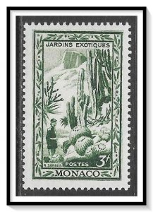 Monaco #238 Cactus Plants MH