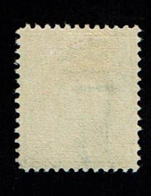 Scott #335 XF-OG-LH.