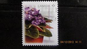 Recent Floral Definitive