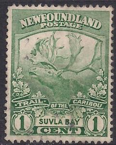 Newfoundland 1919 KGV 1ct Green Suvla SG 130 (L1498 )