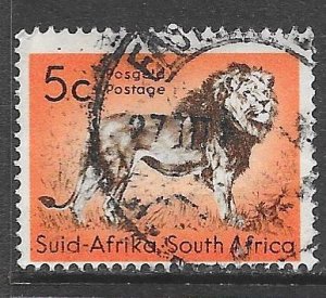 South Africa 247: 5c Lion (Panthera leo), used, F