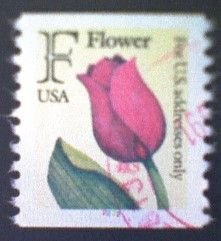 United States, Scott #2518, used(o) coil-color coded, 1991,  F Tulip, (29¢)