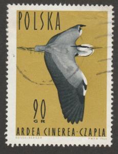 1235 Gray Heron