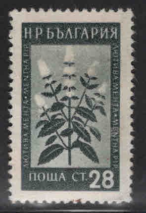 BULGARIA Scott 838 Medicinal plant stamp mint no gum, similar centering