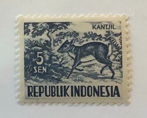 Indonesia 1956  Scott 424 MNH - 5s, Lesser Malay Chevrotain, Tragulus Kantjil