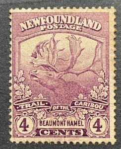 Newfoundland, Scott 118, Mint NH