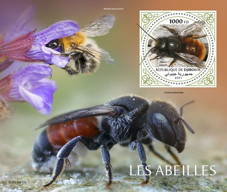 Stamps DJIBOUTI  - BEES.