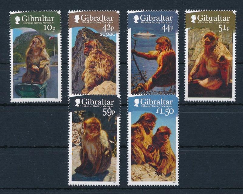 [30243] Gibraltar 2011 Endangered Animals Mammals Mountain Monkeys MNH