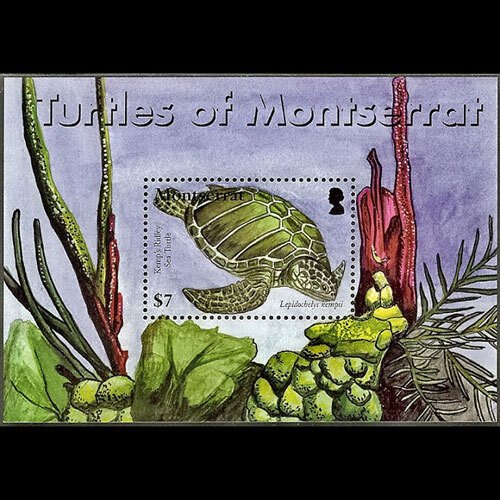 MONTSERRAT 2007 - Scott# 1192 S/S Local Turtle NH