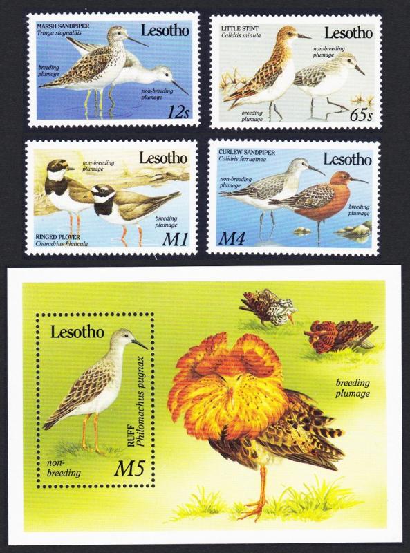 Lesotho Migrant Birds 4v+MS SG#910-MS914 SC#726-730