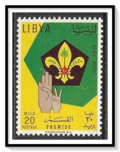 Libya #253 Boy Scouts NG