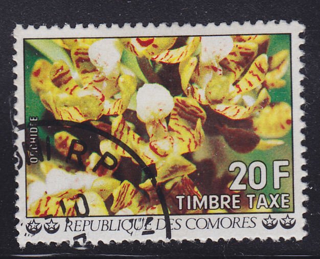 Comoro Islands J11Flowers 1977