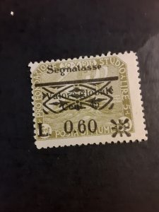 +Fiume #J24           MNG