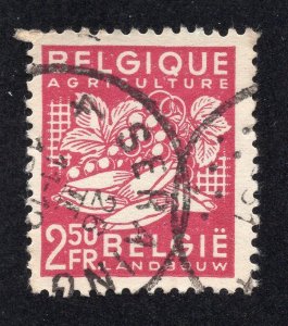 Belgium 1948 2.50fr Agriculture, Scott 380 used, value = 60c