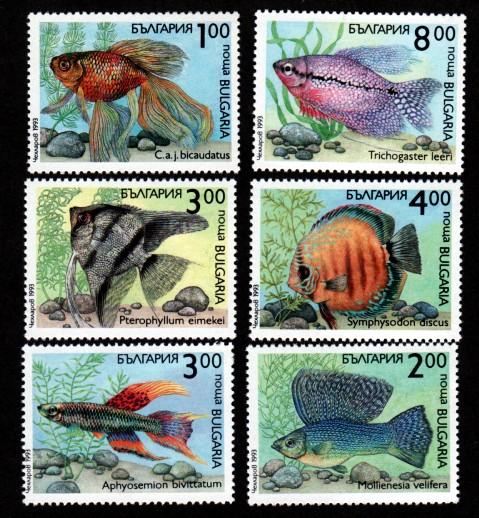 Bulgaria 3766-3771 Mint NH MNH Flora Fauna Fish!