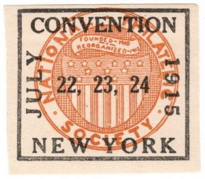 (I.B) US Cinderella : National Philatelic Society Convention (New York 1915)