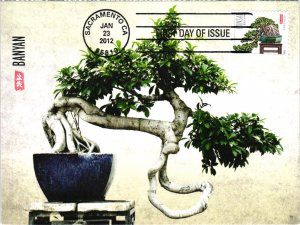 #4619-4622 Bonsai Stamp SET OF 5 Different ONE SHOWN – USPS Maxi Cards Cachet 