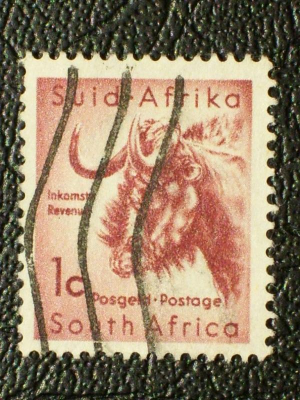 South Africa #242 used