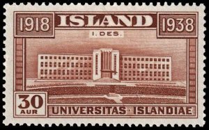 Iceland - Scott 210 - Mint-Hinged - Adhesion on Back
