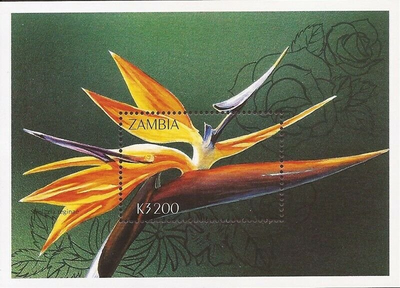 Zambia - 1998 Bird of Paradise - Souvenir Sheet MNH - Scott #723