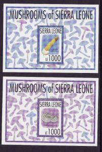Sierra Leone-Sc.1626-7-unused NH set of 2 sheets-Mushrooms-Fungi-1993-