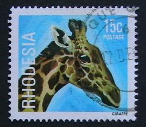 Rhodesia - 401 - Giraffe
