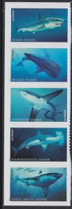 5227a Sharks MNH