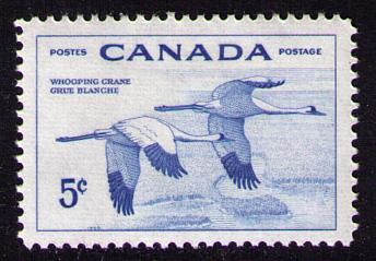 Canada #353 Mint Never Hinged ~ Whooping Crane