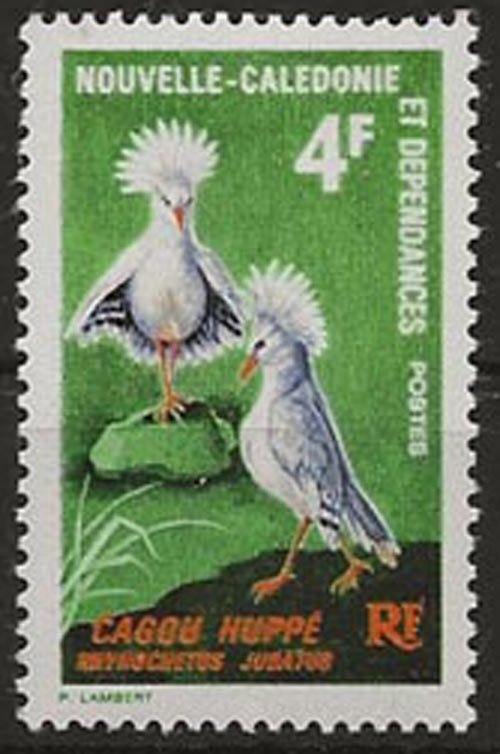 New Caledonia 364 h