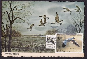 1988 Federal Duck Stamp Sc RW55 $10 FDC duck theme MAXI-CARD