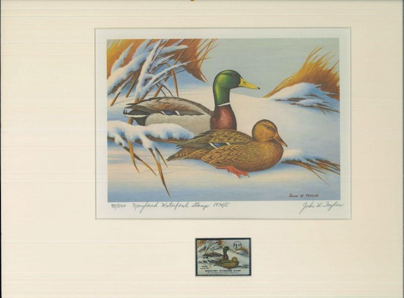 MARYLAND #1 1974 STATE DUCK STAMP PRINT MALLARDS 1st edition by John Taylor