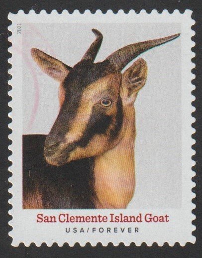 SC# 5589 - (55c) - Heritage Breeds San Clemente Island Goat - 7/10 - Used Single